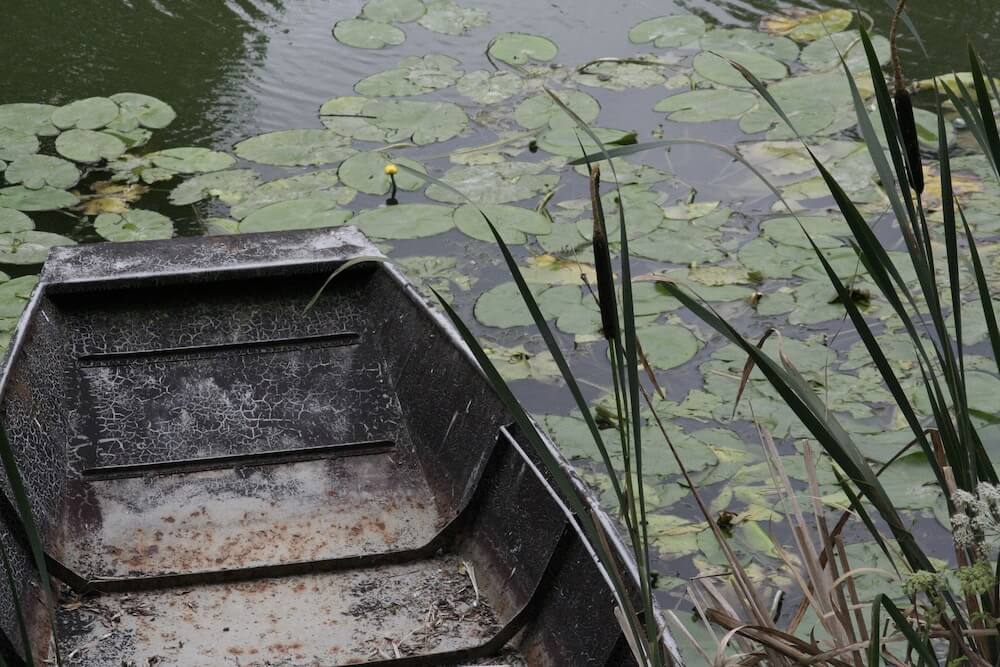 Barque sur les eaux du Marais Poitevin