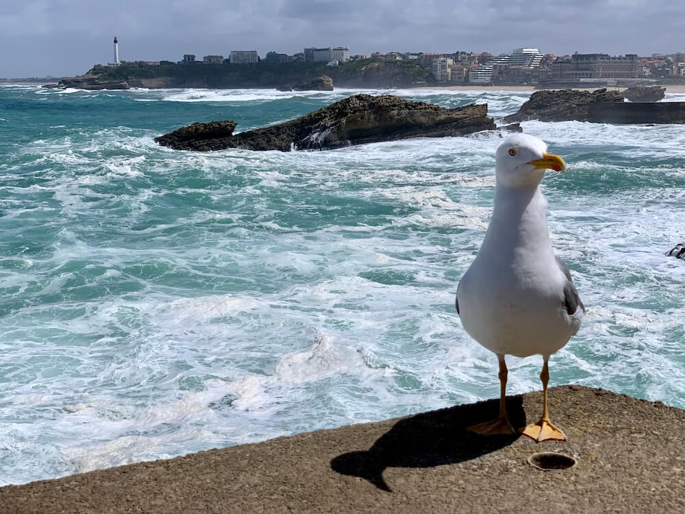 Grande plage et phare de Biarritz